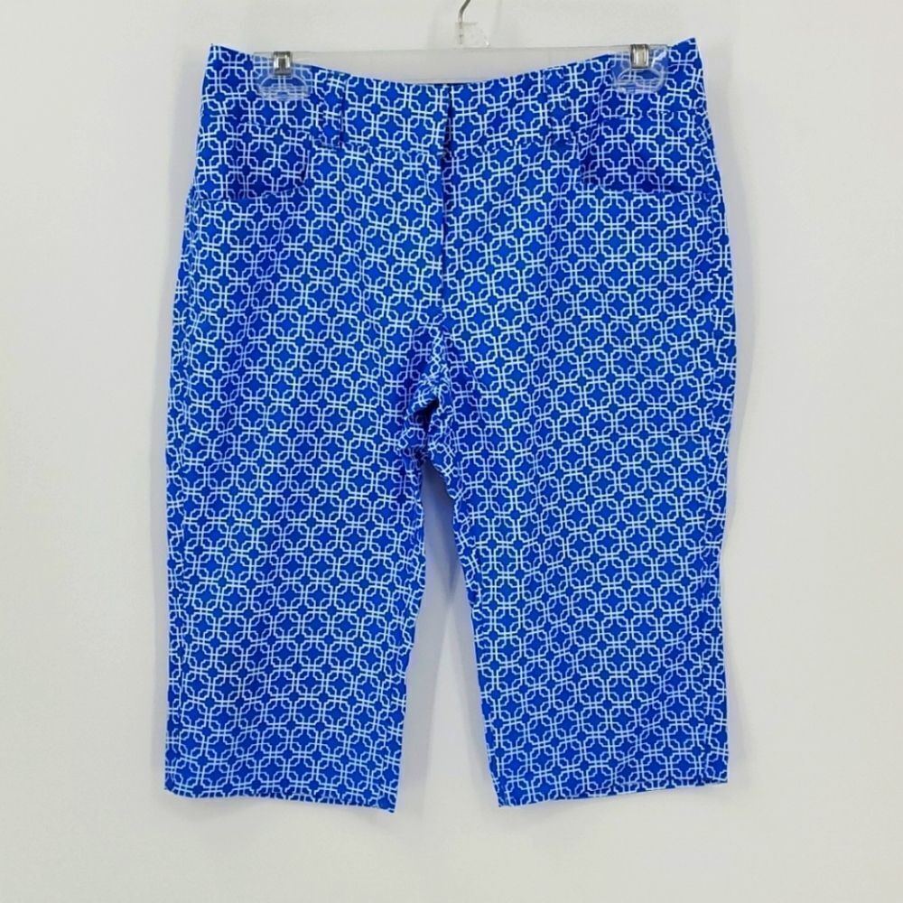Lisa capris,  blue/white, size 4..stretch‎ fabric. Nice